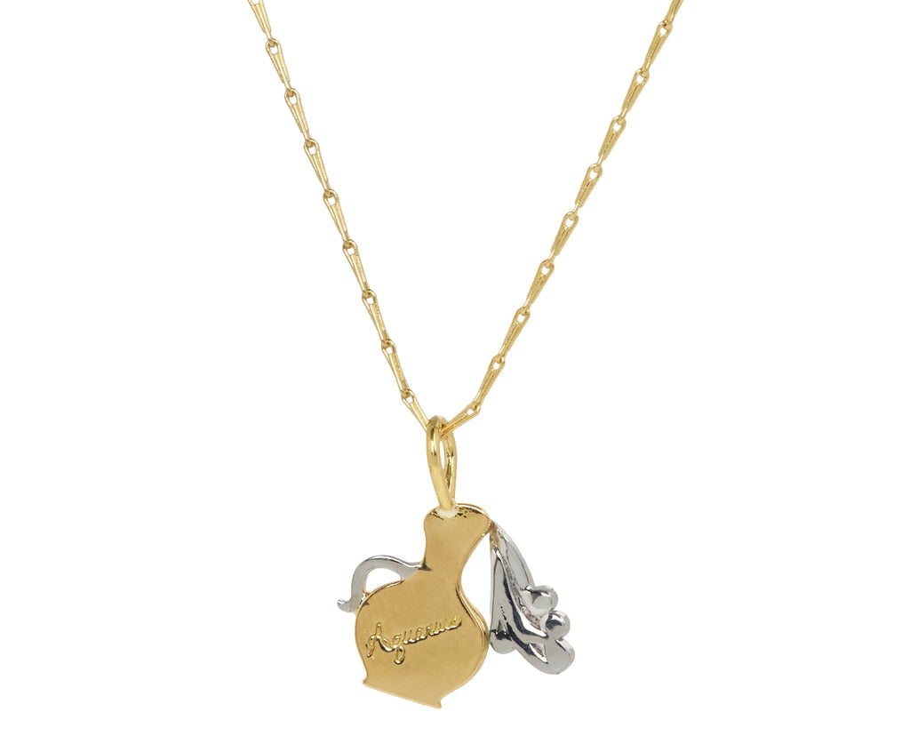 Small Aquarius Pendant Necklace