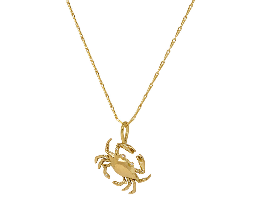 Cancer Pendant Necklace