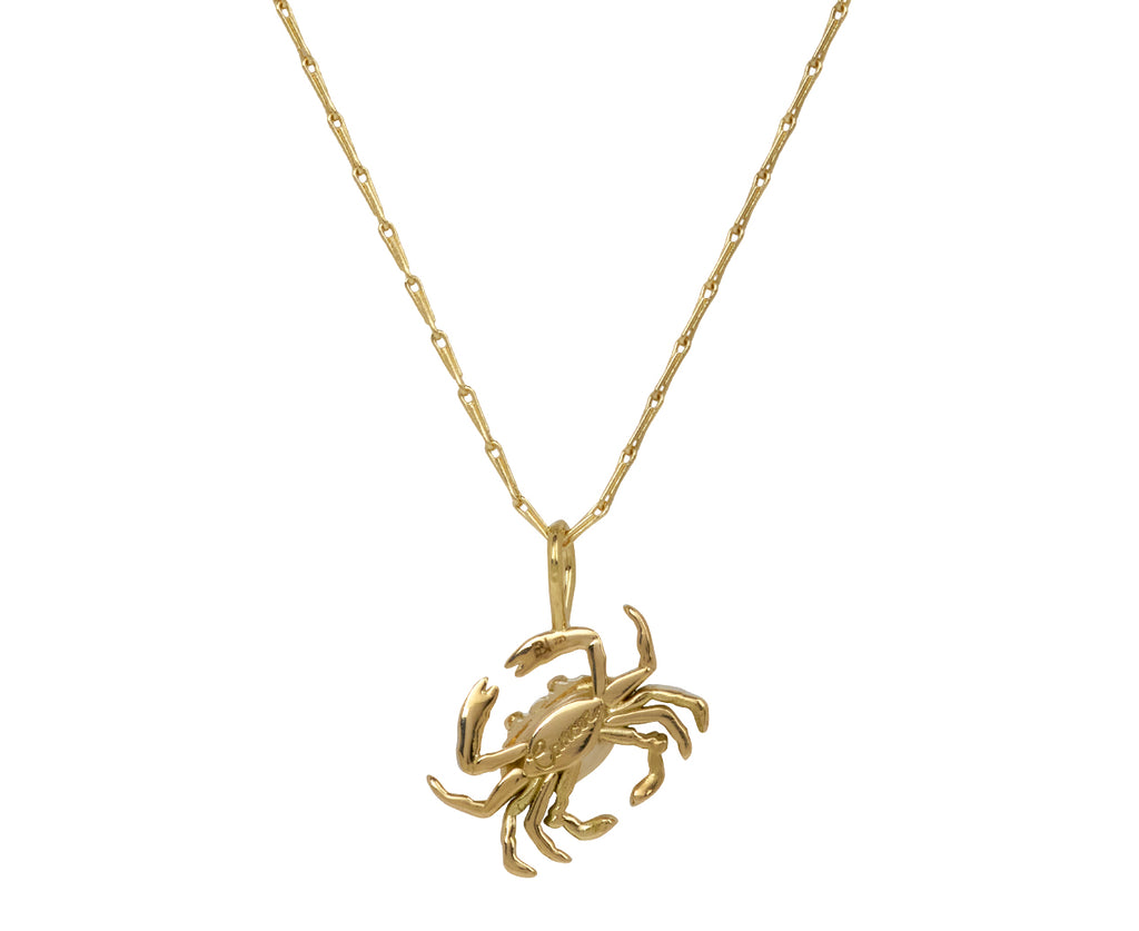 Cancer Pendant Necklace