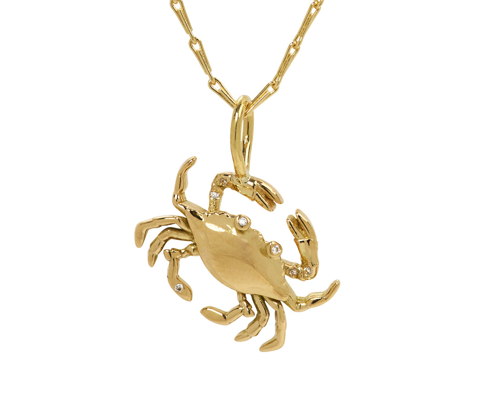 Cancer Pendant Necklace