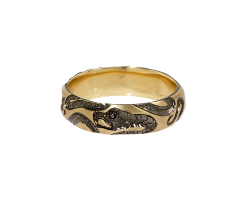 Snake Band