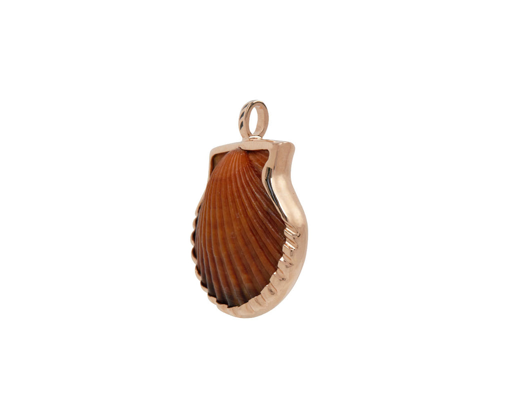 Natural Clam Shell Pendant ONLY