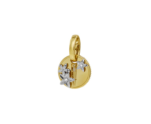 Diamond Resilience Mini Coin Charm with Pushgate ONLY