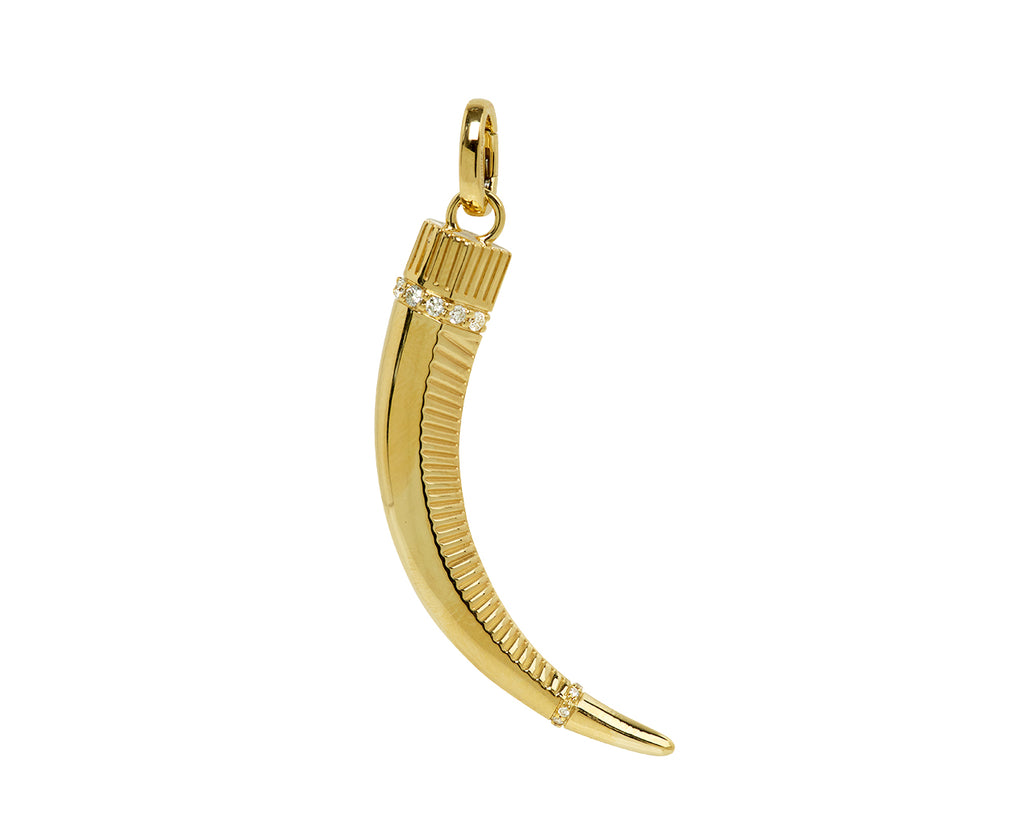 Foundrae Protection Claw Pendant with Push Gate ONLY