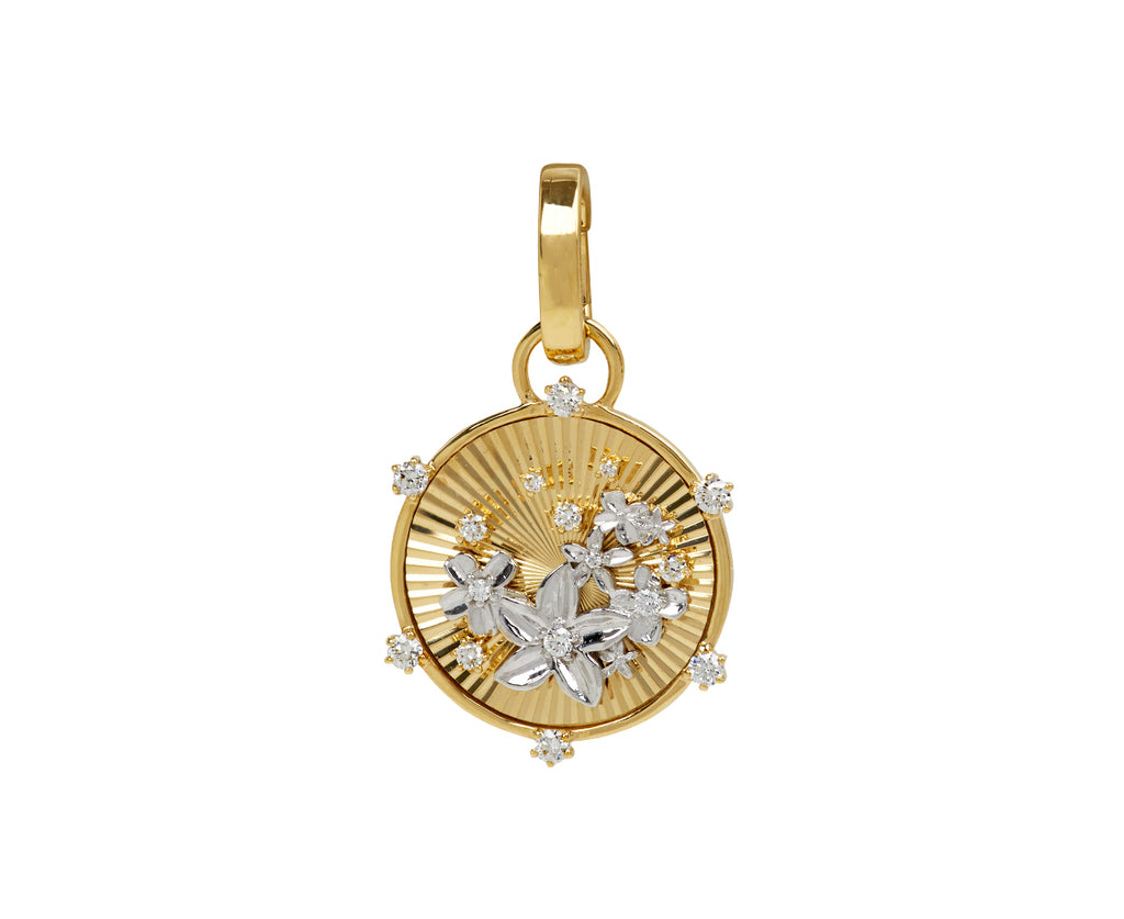 Baby Resilience Blossoms Medallion and Push Gate ONLY