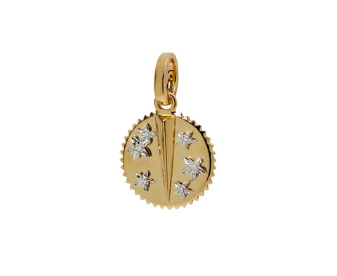 Baby Resilience Medallion with Push Gate