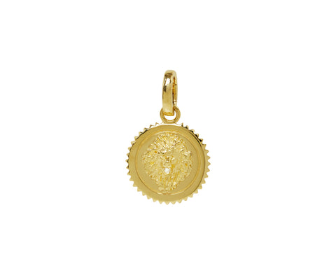 Baby Strength Medallion Pendant with Push Gate ONLY
