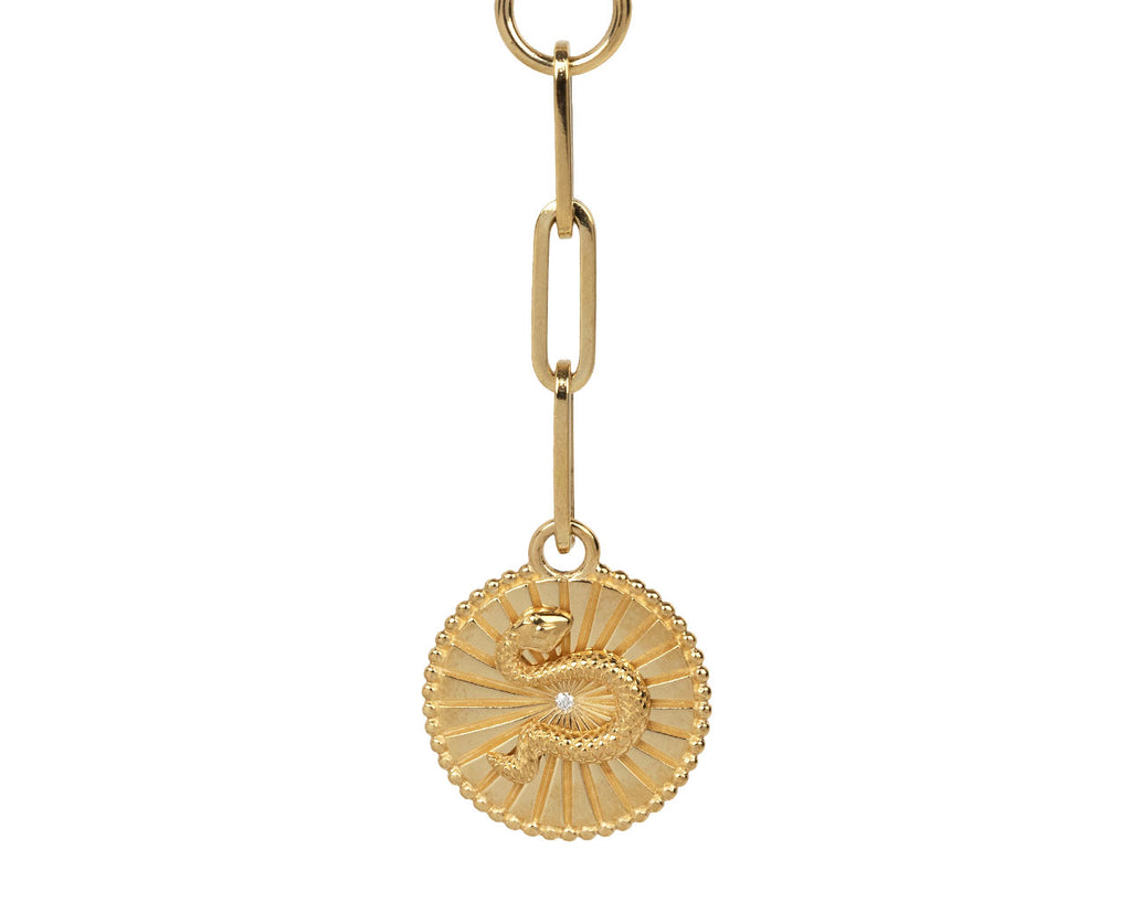 Mixed Clip Chain and Baby Wholeness Medallion Necklace