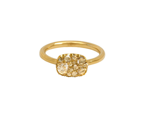 Horizontal Into the Wild Mini Ring