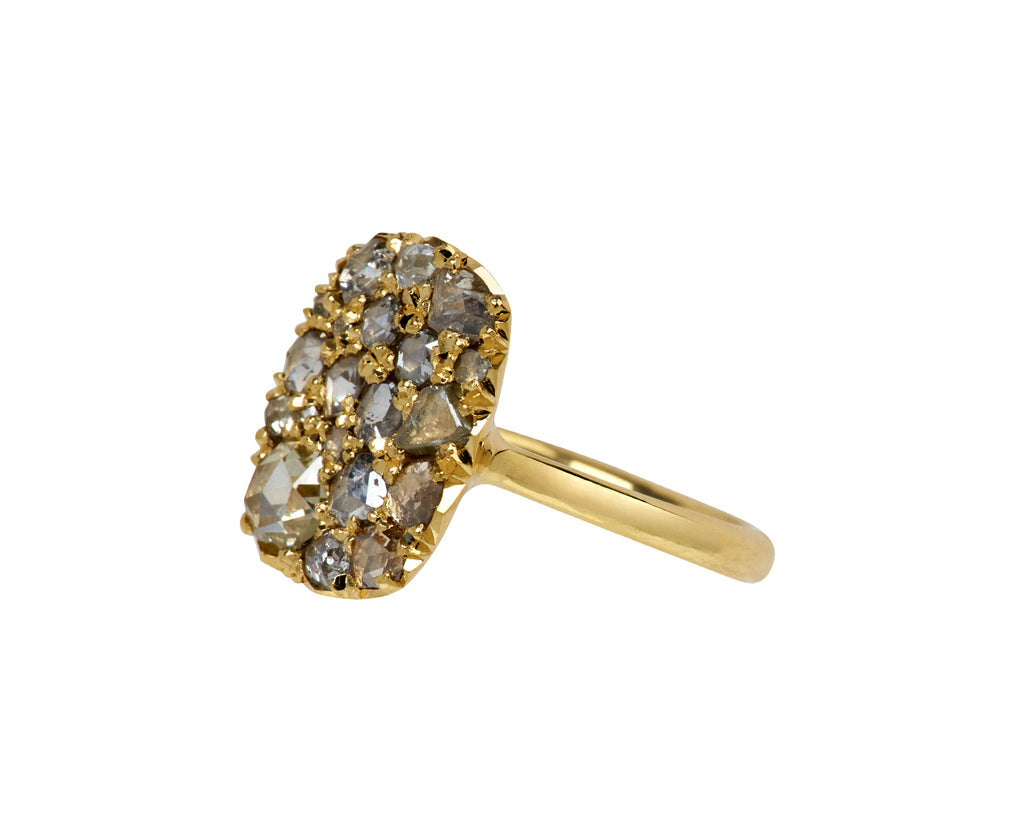 Rose Cut Diamond Into the Wild Ring