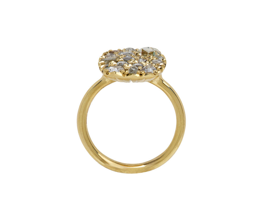 Rose Cut Diamond Into the Wild Ring