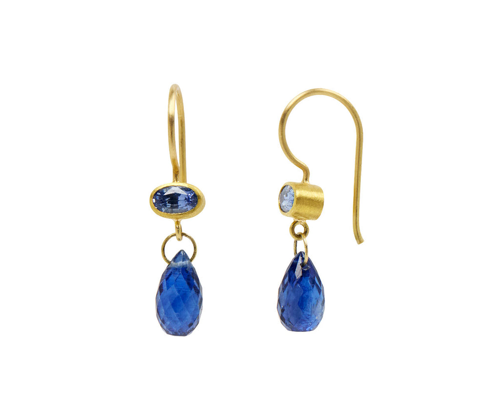 Blue Sapphire and Kyanite Apple and Eve Earrings