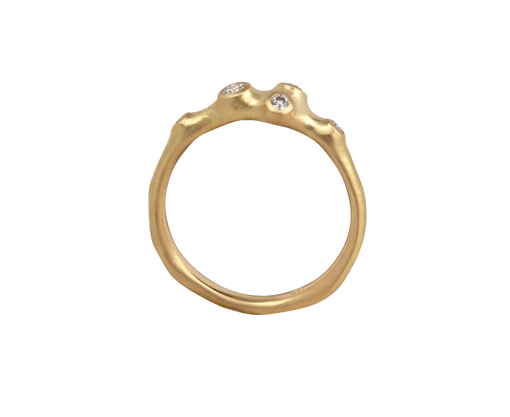 Medium Barnacle Band