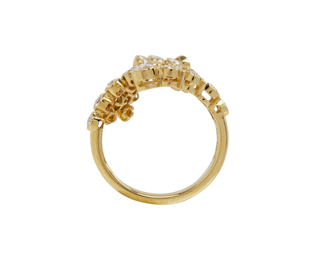 Diamond Bias Coil Ring