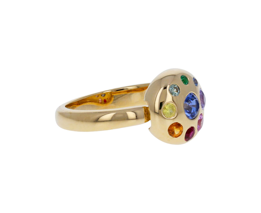 Rainbow Sapphire Medium Petal Ring
