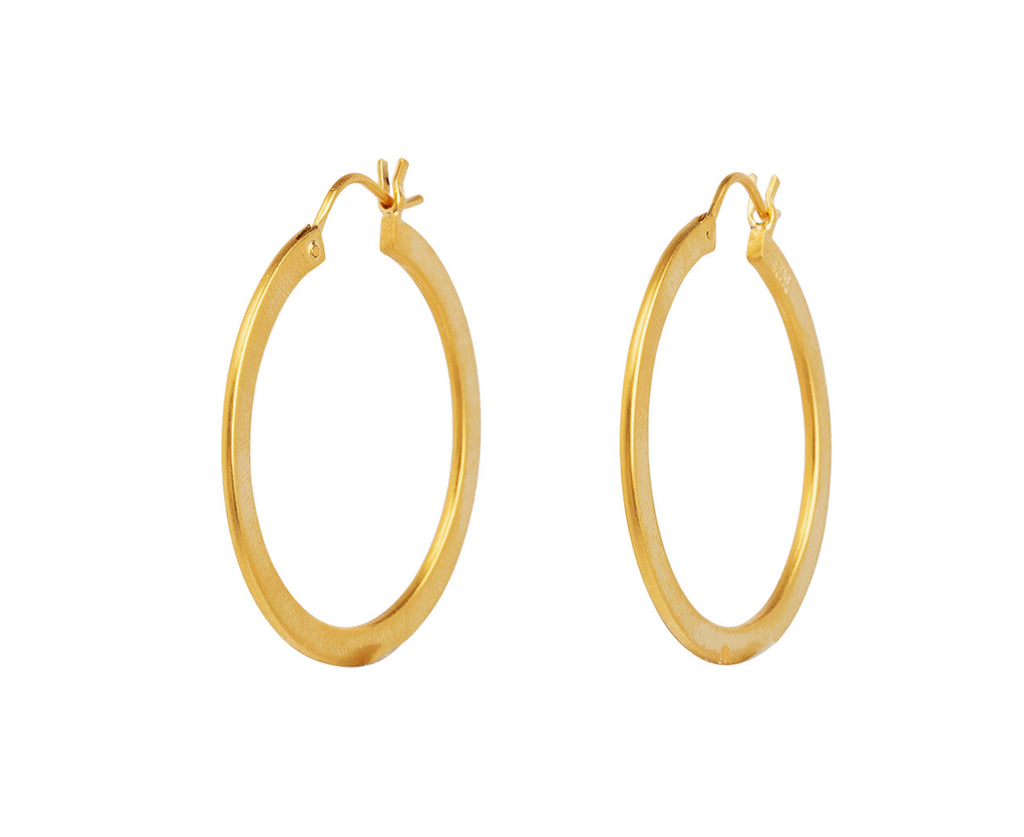 Medium Gold Hoop Earrings - TWISTonline