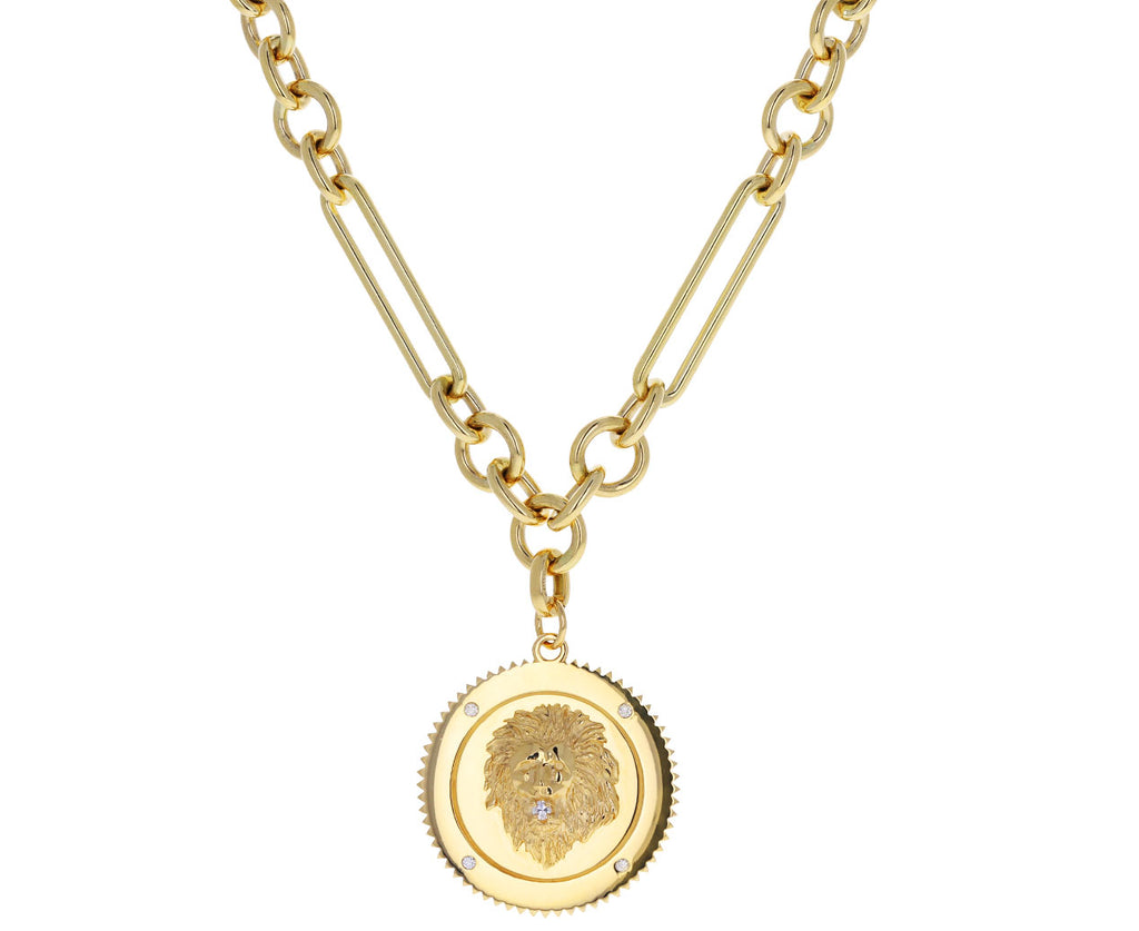 Midsize Mixed Clip Chain Necklace
