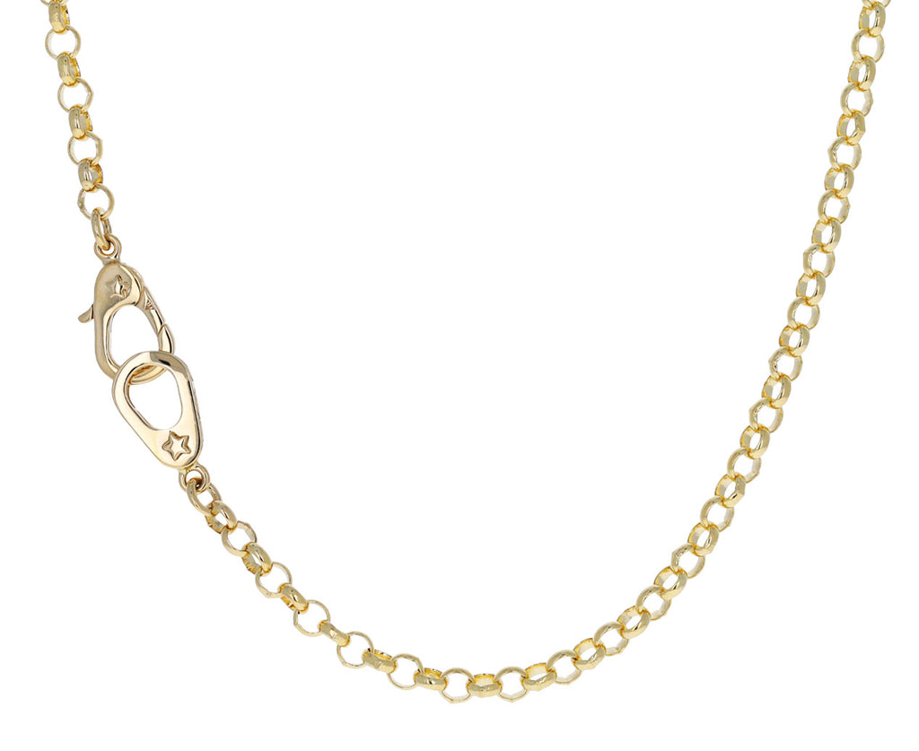 Medium Belcher Sister Hook Chain - TWISTonline