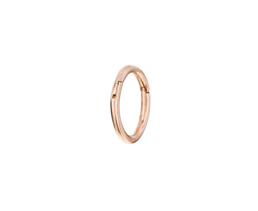1/4 Rose Gold SINGLE Rotating Hoop - TWISTonline
