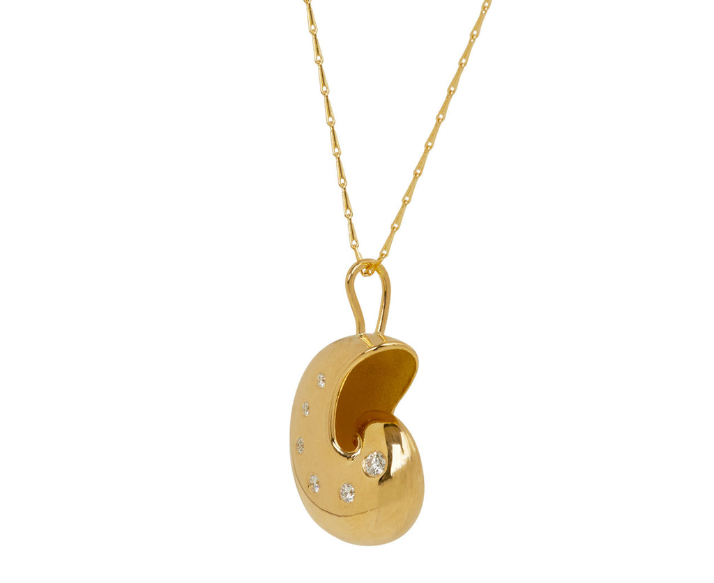 Small Nautilus Shell Pendant Necklace