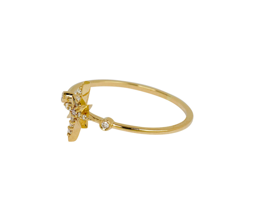 Celine Daoust Diamond North Star Ring - side