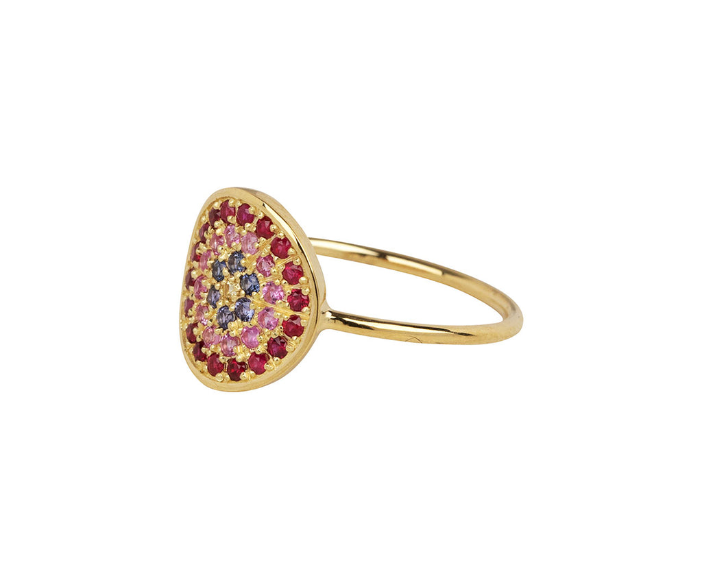 Ruby and Sapphire Yellowstone 1 Ring
