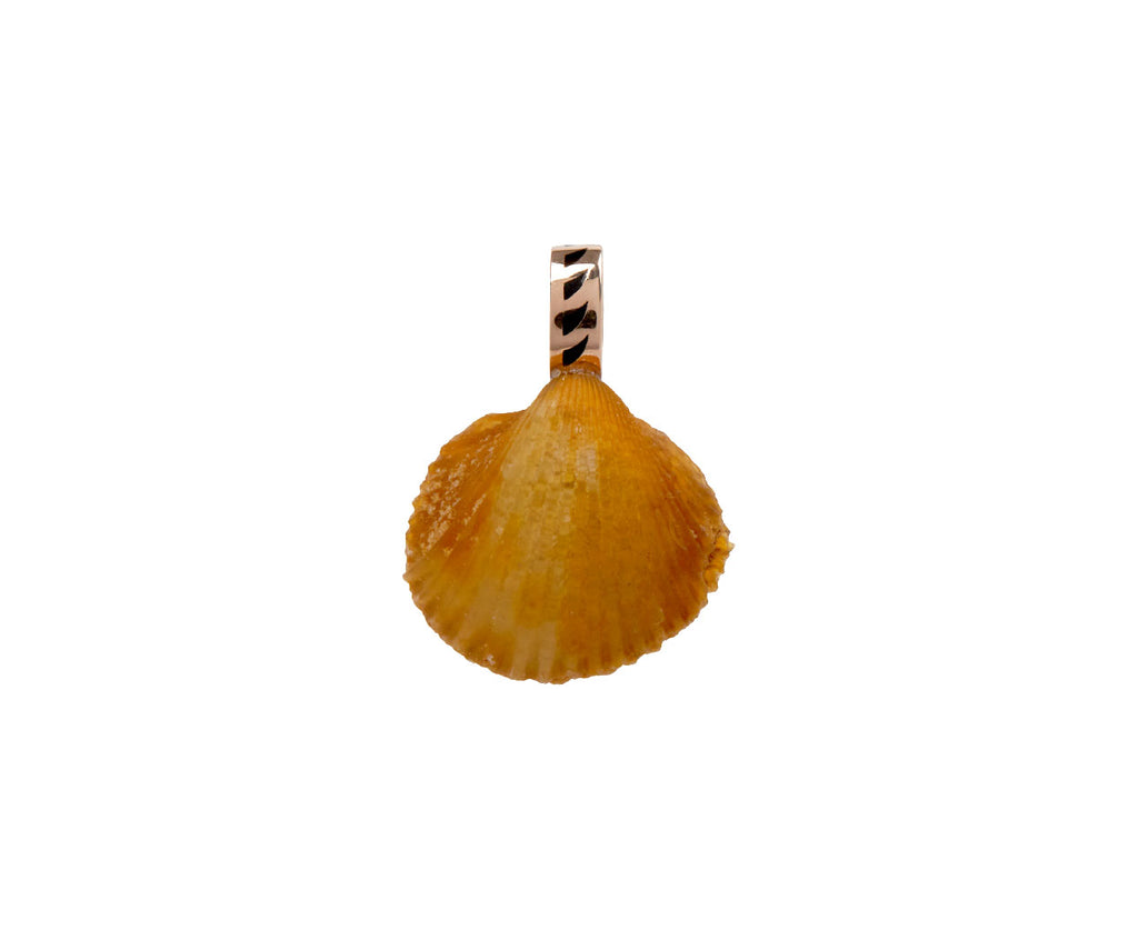 Anadara Fossil and Marquise Diamond Pendant ONLY