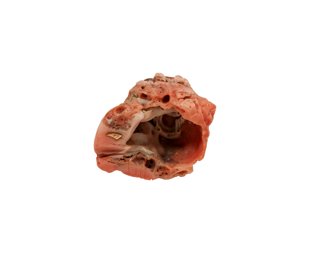 Dezso Coral Conch Shell, Sapphire and Diamond Bead ONLY - back