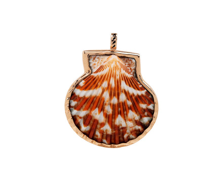 Dezso Natural Clam Shell Charm ONLY