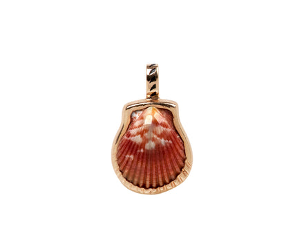 Dezso Natural Clam Shell Pendant ONLY