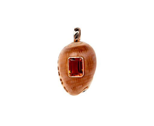 Helmet Cowrie Shell and Citrine Pendant ONLY