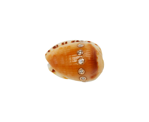 Dezso Natural Conus Shell and Diamond Bead ONLY
