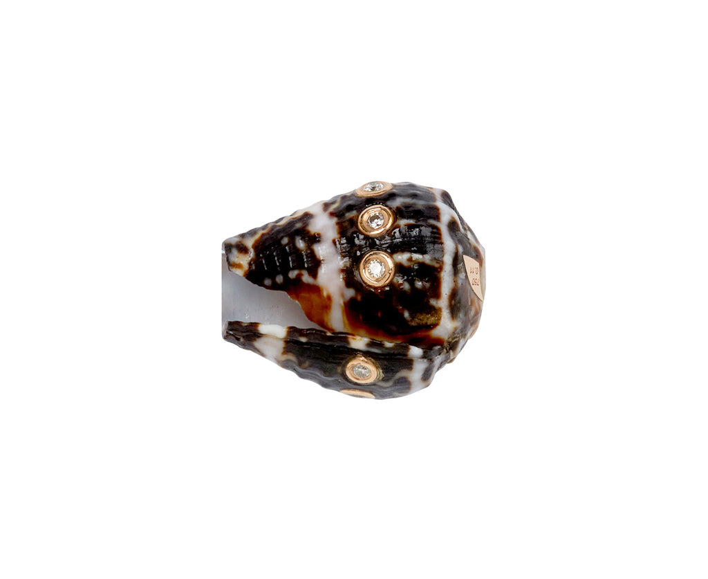 Dezso Natural Conus Shell and Diamond Bead ONLY - back