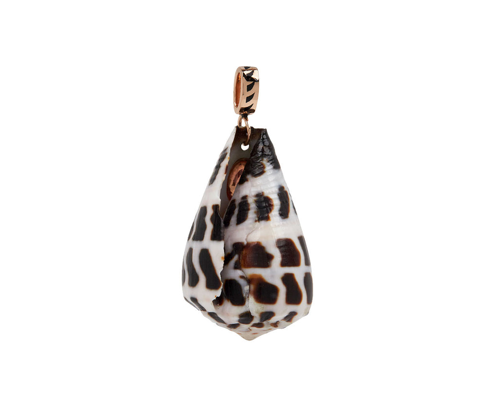 Natural Conus Shell and Sapphire Pendant ONLY