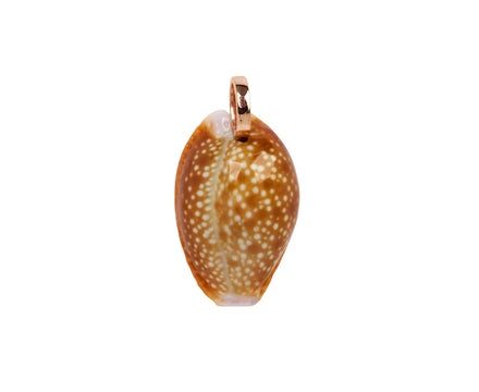Dezso Natural Cowry Shell Pendant ONLY