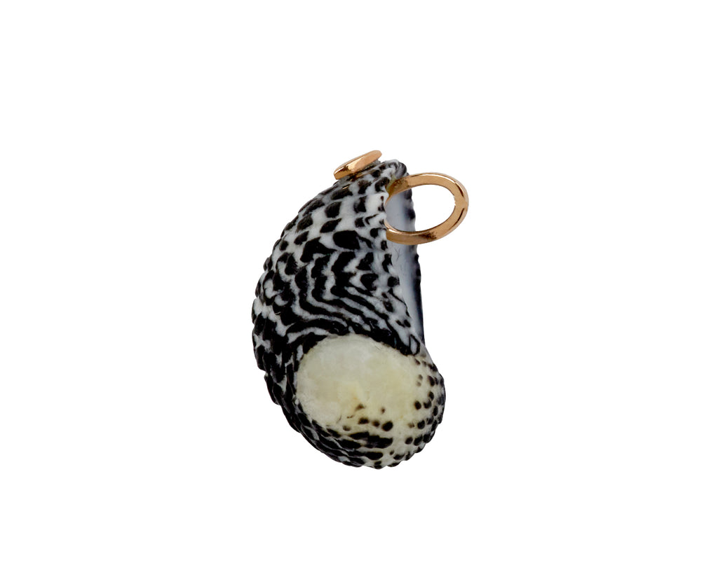 Dezso Natural Turbo Shell Pendant ONLY - side