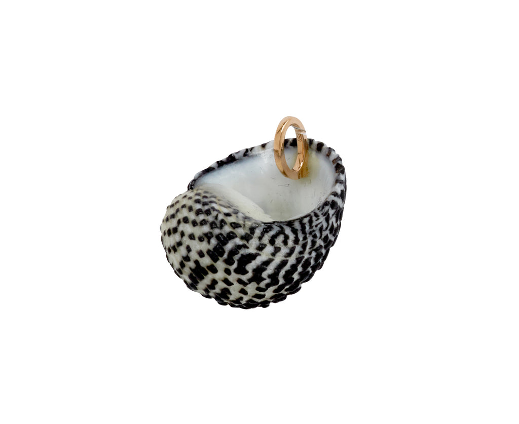 Dezso Natural Turbo Shell Pendant ONLY - back