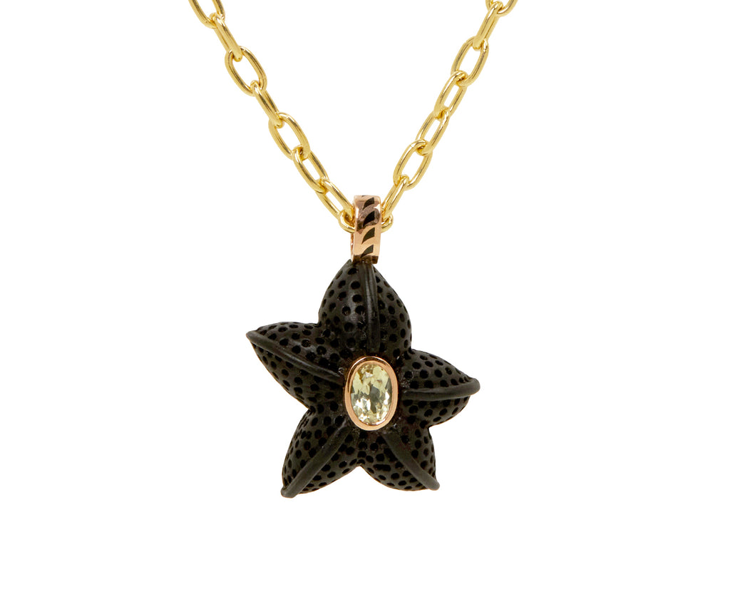 Dezso Ebony Starfish and Oval Beryl Pendant ONLY - Closeup on chain