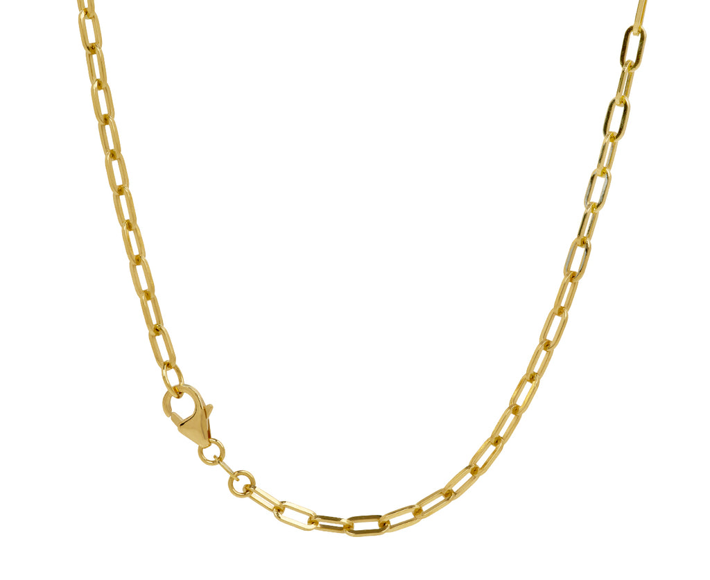 Infinite Gratitude Refined Clip Extension Necklace - TWISTonline 