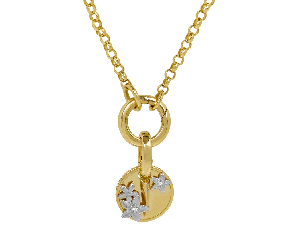 Diamond Resilience Mini Coin Charm with Pushgate ONLY