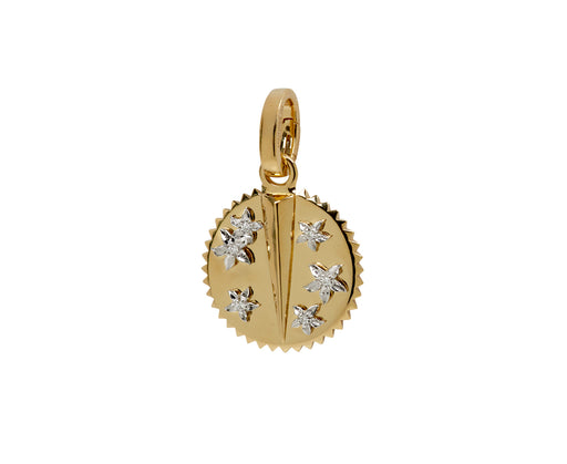 Baby Resilience Medallion with Push Gate