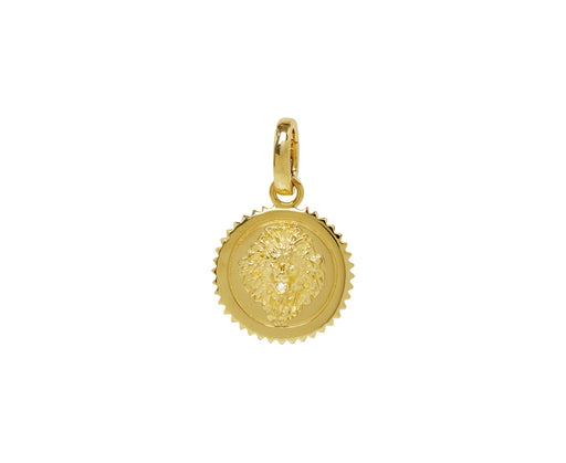 Baby Strength Medallion Pendant with Push Gate ONLY