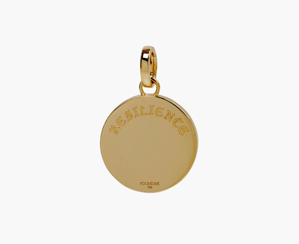 Medium Blossoms Resilience  Floral Screen Medallion