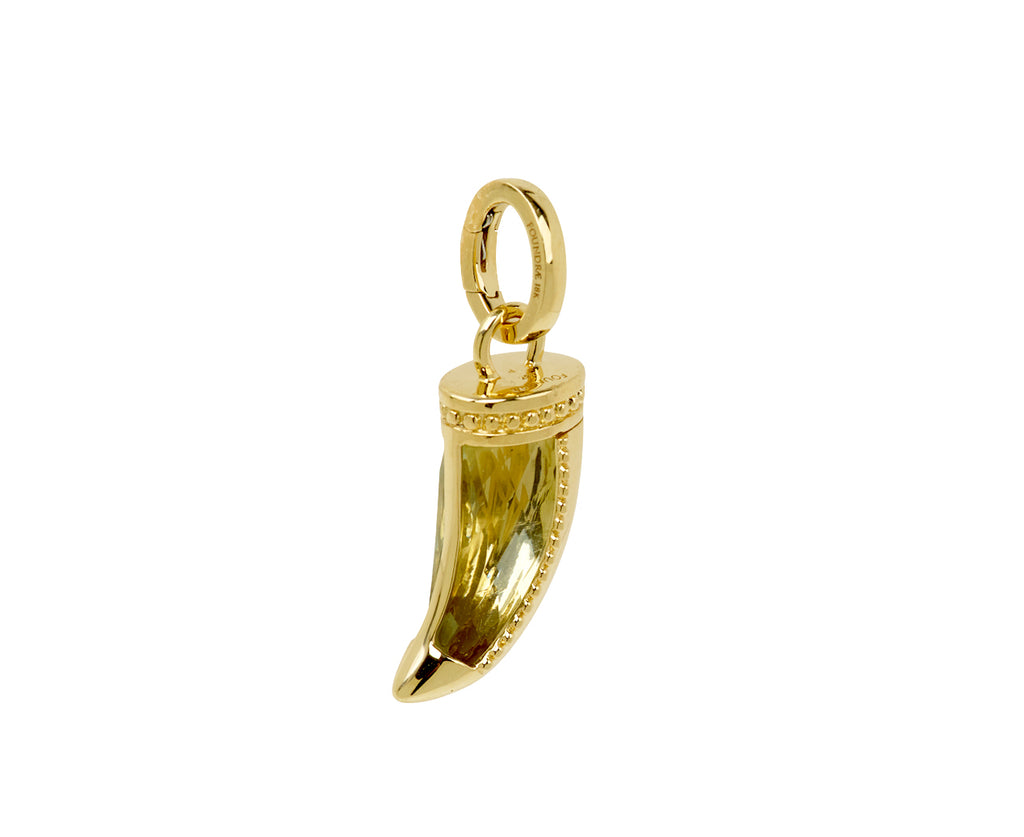 Prasiolite Protection Claw Gemstone Pendant and Push Gate ONLY