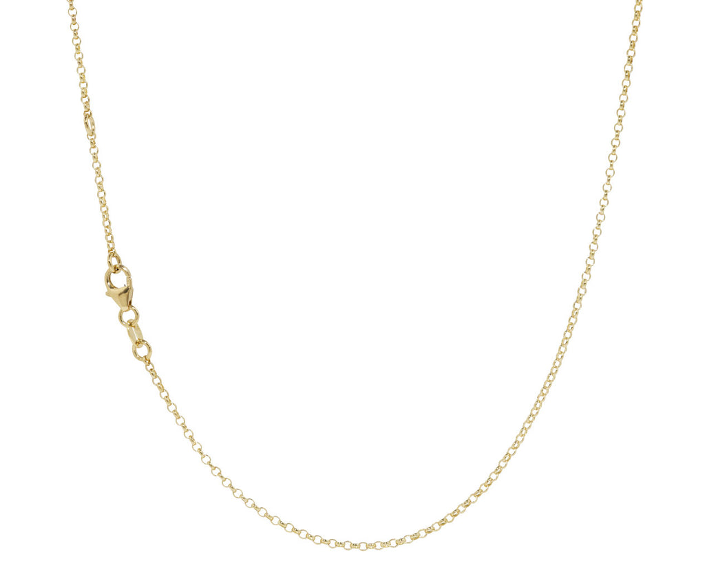 Garnet Internal Compass Fine Belcher Necklace
