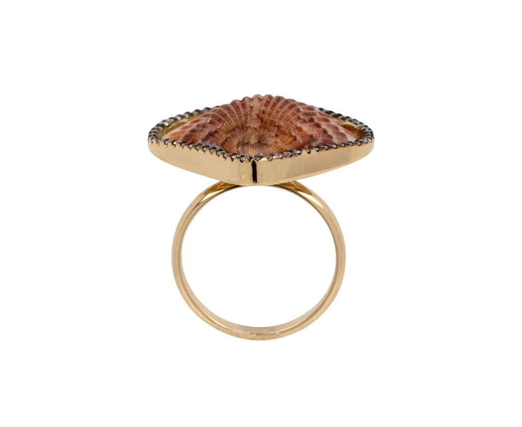 Brown Shell and Diamond Ring