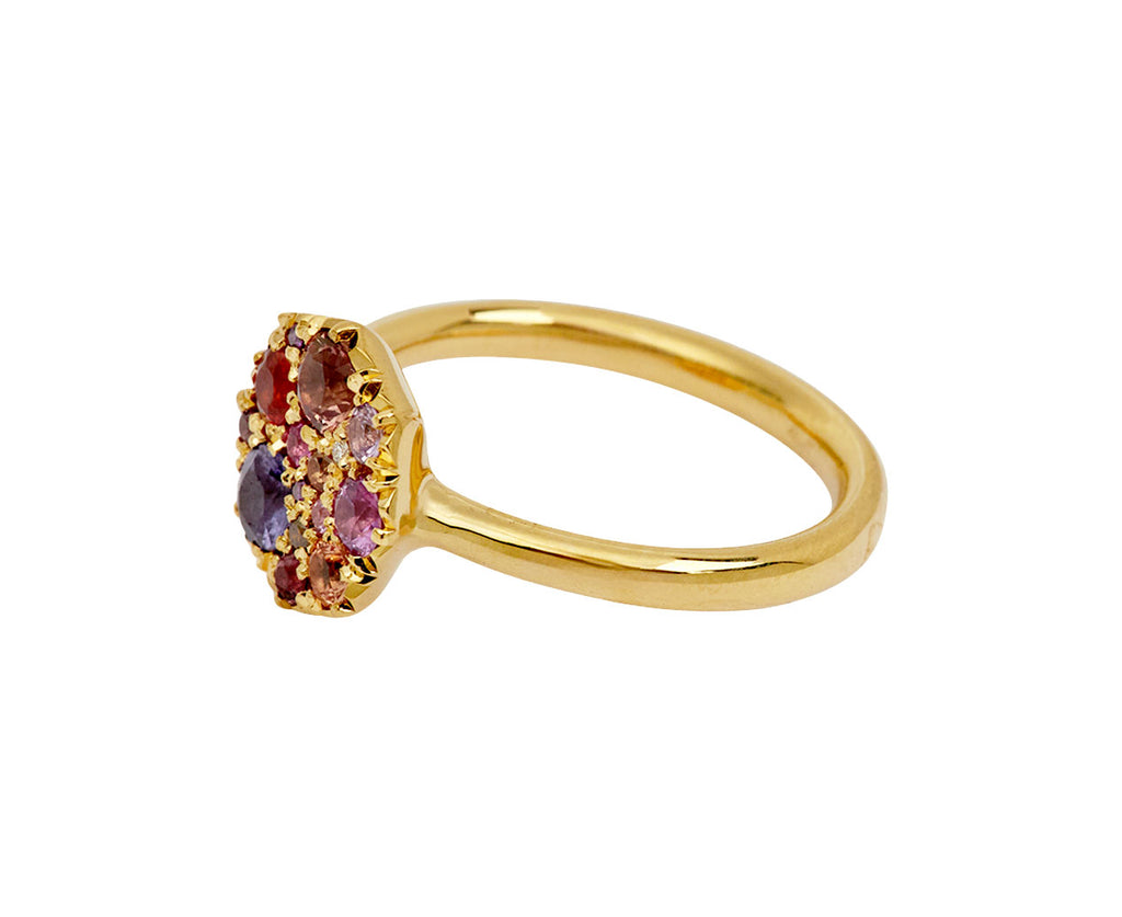 Pink and Citrus Sapphire Iris Ring