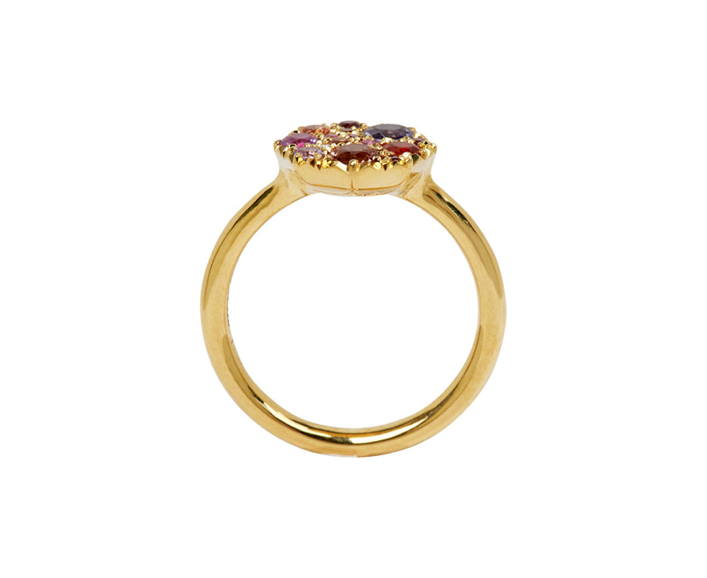 Pink and Citrus Sapphire Iris Ring