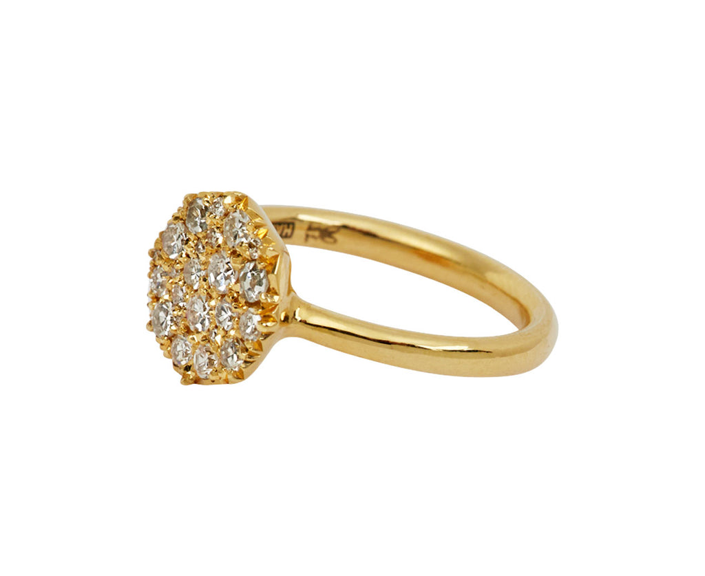 Diamond Iris Ring