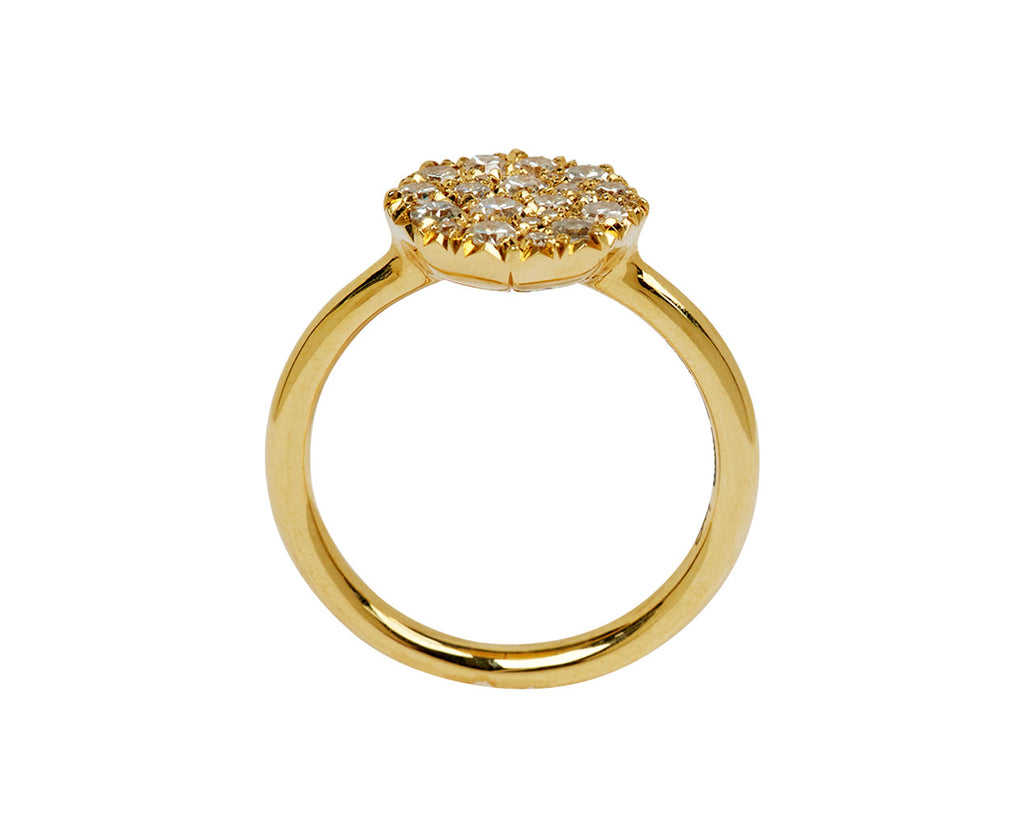 Diamond Iris Ring